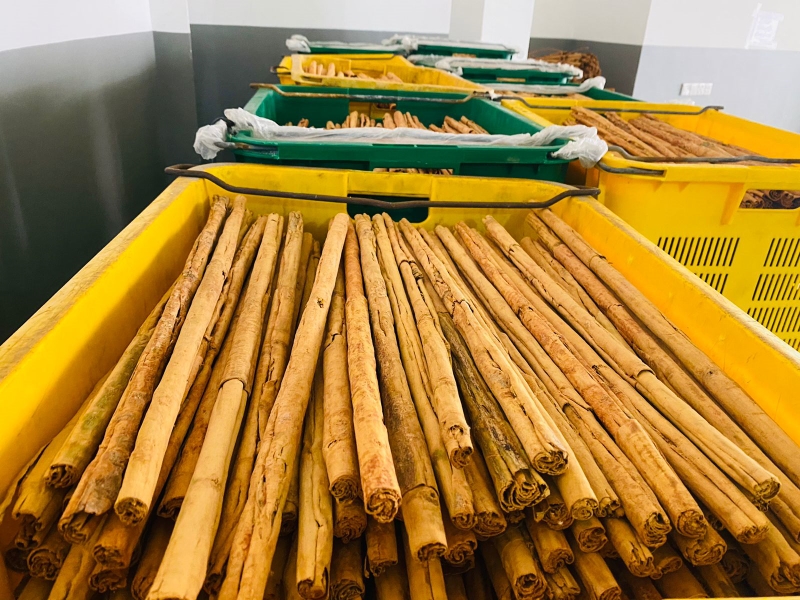 Ceylon cinnamon